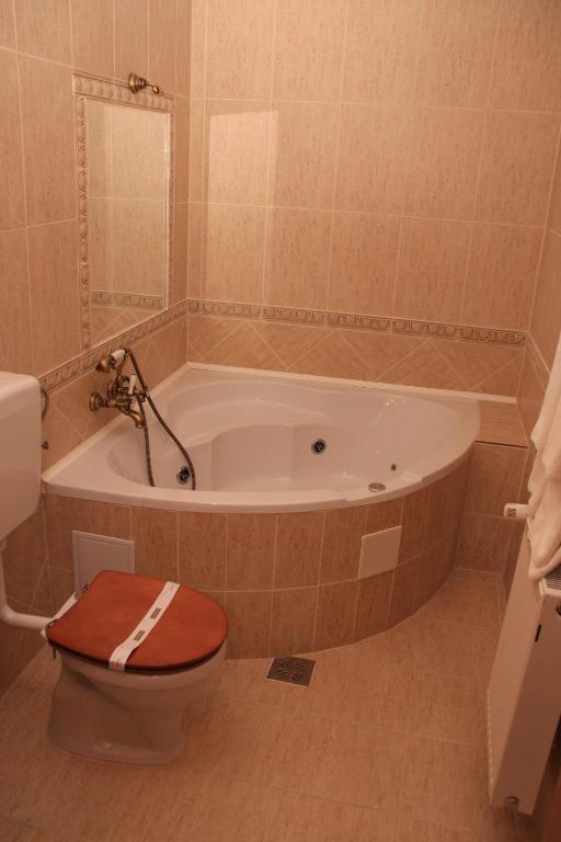 Hotel Ozon Harghita-Băi Habitación foto
